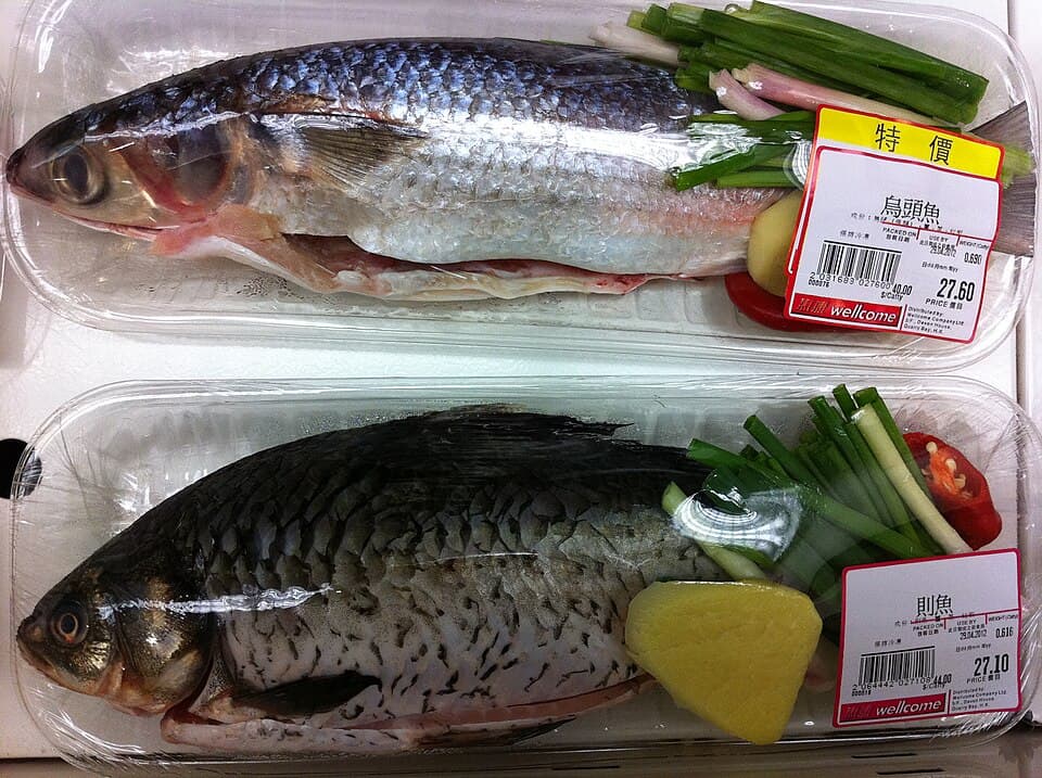 Cá đối