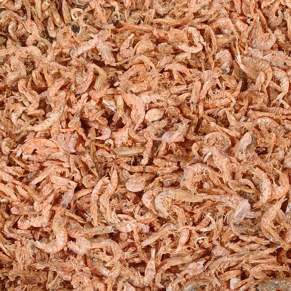 Moi khô (ruốc khô)