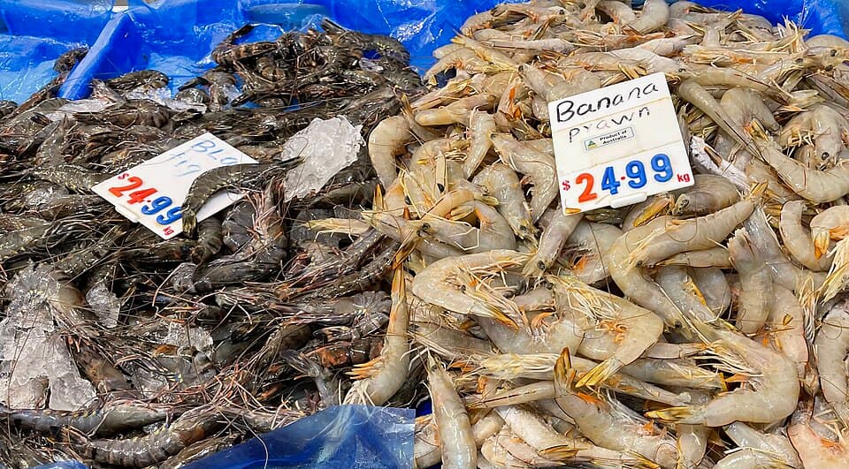 Tôm sú biển
